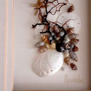 Miniature Sea Specimens Art Piece Professionally Framed / Alexander Colle 1990s